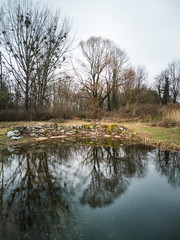 Bäume spiegeln sich in einem Teich