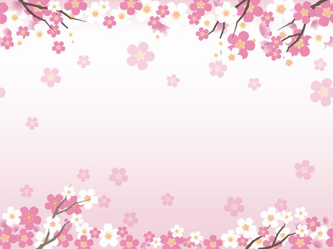シームレスな桜の背景