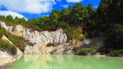 Fototapeta na wymiar Green Lake in Rotorua