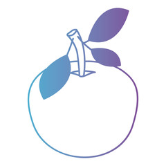 orange fresh and citrus fruit vector illustration design