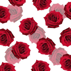 Beautiful floral background of red roses