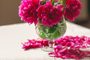 Bouquet of red peonies in vase on white background