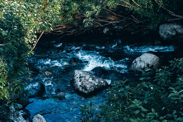 Fast mountain river in rapid flow in the green forest