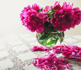 Bouquet of red peonies in vase on white background