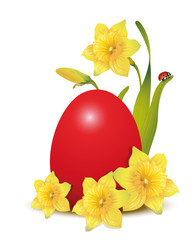 Osterei mit Osterglocken,
Narzissen und rotes Ei als Osterkarte,
Vektor Illustration isoliert auf weißem Hintergrund