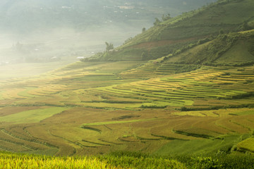 Rice field terrace landscape in Mu Cang Chai Vietnam