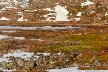 Tundra landscape at Barents Sea in Teriberka , Murmansk.