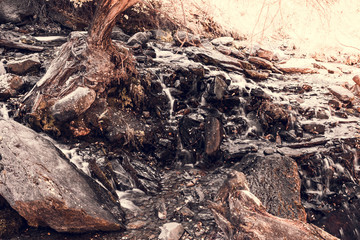 Mountain stream in the forest. Old trees and logs in the river with stone banks