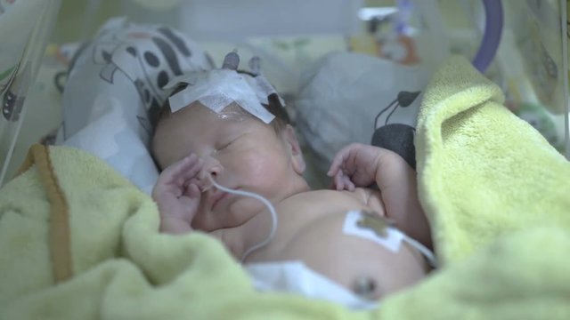 Newborn being on a drip and sleeping in incubator
