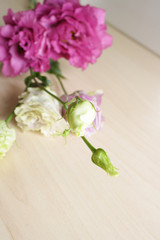 background flowers rose bud abstraction