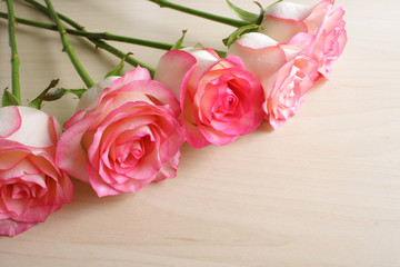 background flowers rose bud abstraction