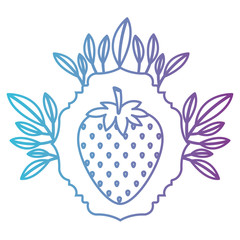 strawberries fresh fruit with leafs frame vector illustration design