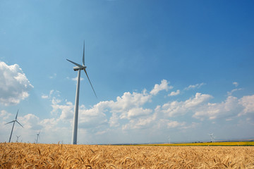 Wind turbines farm on field