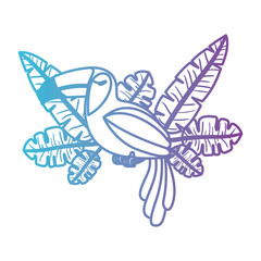 toucan exotic bird with leafs palm vector illustration design