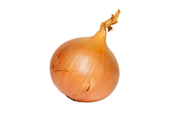 Onion, isolated on a white background