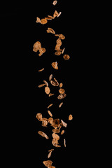 falling yummy cornflakes isolated on black