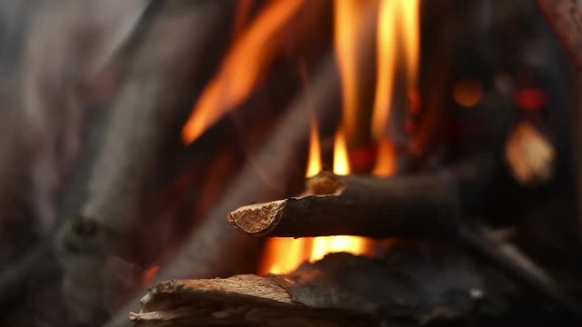 Burning braches wood close up of red hot fire 