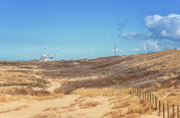The Dune area near IJmuiden with a cruise ship and factories in the background