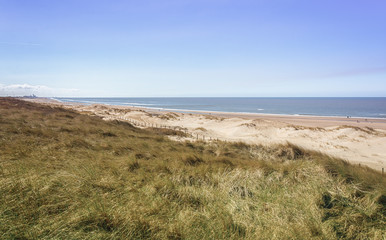 Fototapeta na wymiar The North Sea beach near Bloemendaal in the Netherlands