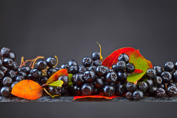 Black chokeberry with autumn leaves on a dark background.
