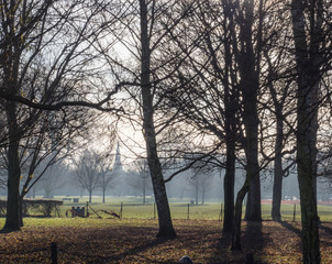 Fototapeta na wymiar Misty Autumn Morning in a London Park