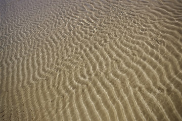 Sea sand under water in sunny day