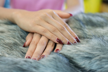 nail paint . beautiful female hand with colorful
