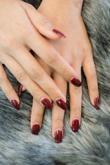 nail paint . beautiful female hand with colorful