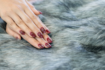 nail paint . beautiful female hand with colorful