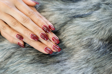 nail paint . beautiful female hand with colorful