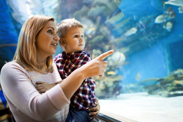 Mother and son watching sea life in oceanarium