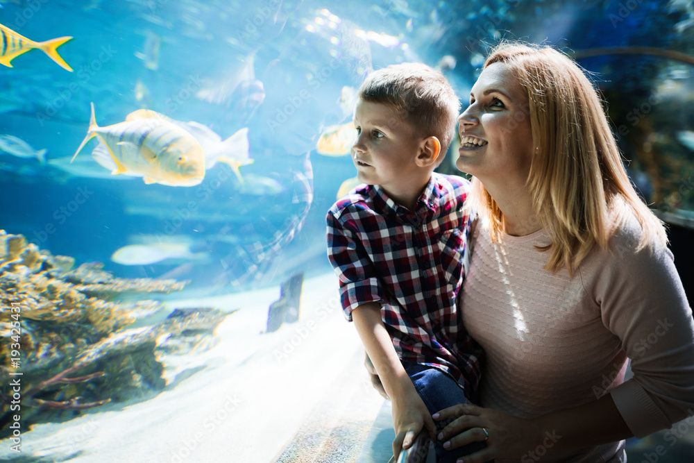 Wall mural Family watchig fishes at a aquarium