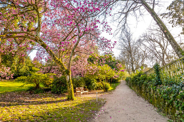 Obraz premium Early Spring in Vigo