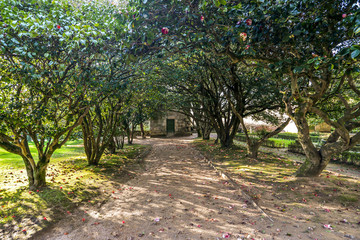 Early Spring in Vigo