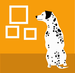 Dalmatian and frame on the orange background