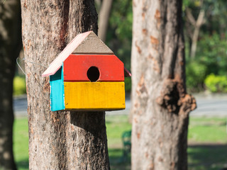 Colorful Bird Houses in the park Hanging on a tree, The bird house was placed at various points.birdhouse forest with many brightly colored bird houses built to attract