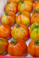 Oxheart tomatoes