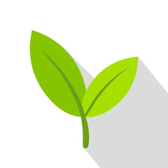 Leaf icon. Flat illustration of leaf vector icon for web