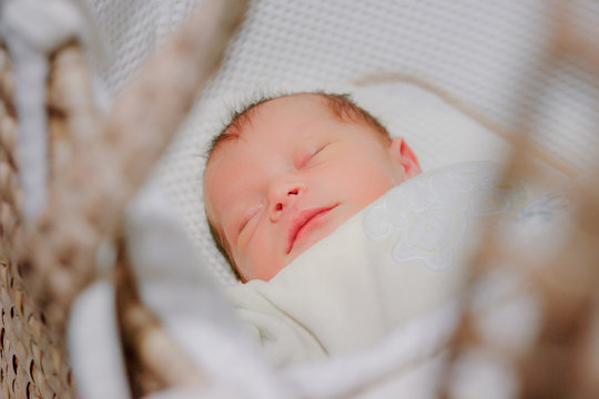 3 162 Best Nouveau Ne Images Stock Photos Vectors Adobe Stock