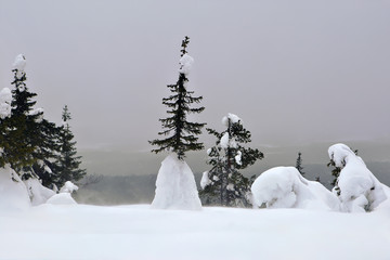 Iivaara mountain in Finland.