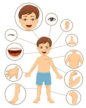 Kid Boy Body Parts Illustration