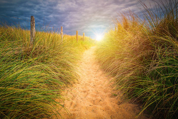 Path to sand beach with beachgrass. Way to the wide sandy beaches of the Atlantic.