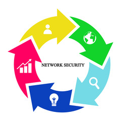 Business infographics. Pie chart with the inscription:network security