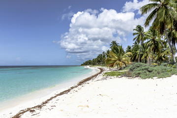 Republic Santo Domingo - Paradisiacal beaches