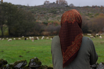 O ar puro do campo