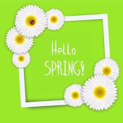 Hello spring vector. White frame with flowers and the words hello spring. EPS