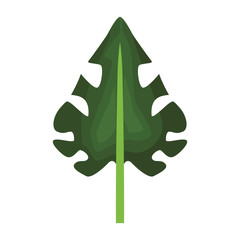 Obraz premium Leaf eco symbol icon vector illustration graphic design