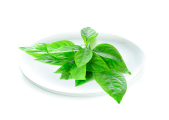 Barleria strigosa Willd in white plate on white background