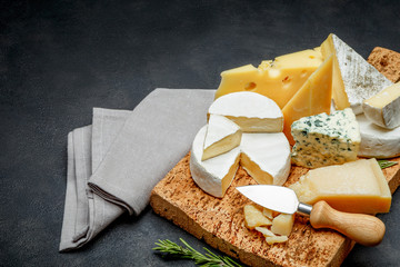 Various types of cheese - parmesan, brie, roquefort, cheddar