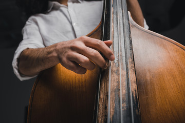 cropped shot of musician playing standup bass